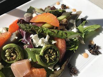 Product: spring vegetables, quinoa, toasted walnuts, goat cheese, blood orange vinaigrette - The Plaza Café in Southampton Village - Southampton, NY American Restaurants