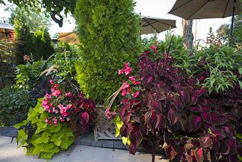 Product - The Stone House Cafe in Reno, NV American Restaurants