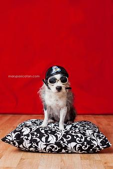 Product - The Tailored Tail in Houston, TX Custom Sewing & Alterations Product - The Tailored Tail in Houston, TX Custom Sewing & Alterations