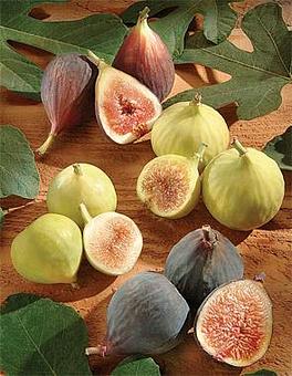 Product - The Vineyard Restaurant & Bar in Madera, CA American Restaurants