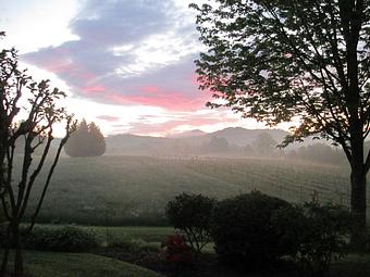 Product - Tiger Mountain Vineyards in Tiger, GA American Restaurants