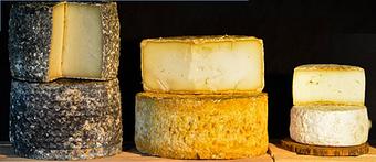 Product - Tony Caputos Market & Deli in Salt Lake City, UT Delicatessen Restaurants