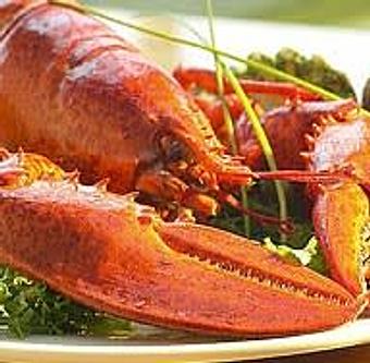 Product - Trenton Bridge Lobster Pound in Trenton, ME Seafood Restaurants