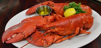 Product - Tropical Acres in Fort Lauderdale, FL American Restaurants