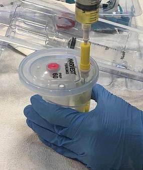 Product - True Esthetics Services in Miramar, FL Beauty Salons