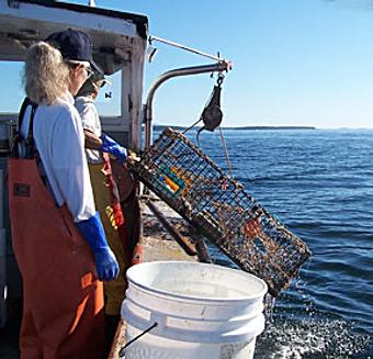 Product - Union River Lobster Pot in Downtown Ellsworth - Ellsworth, ME Seafood Restaurants