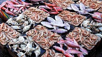 Product - Vico Restaurant & Bar in Hudson, NY Italian Restaurants Product - Vico Restaurant & Bar in Hudson, NY Italian Restaurants