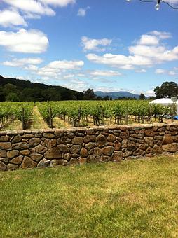 Product - Vintage Sweet Shoppe in Napa, CA Bars & Grills Product - Vintage Sweet Shoppe in Napa, CA Bars & Grills