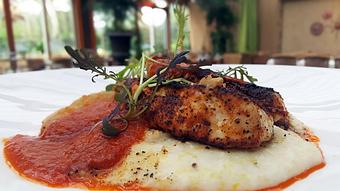 Product - Wahoo! Grill in Decatur / Oakhurst / Atlanta - Decatur, GA Seafood Restaurants