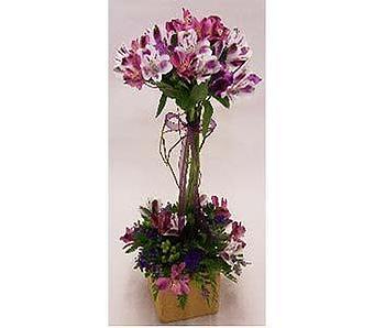 Product - Watson Flower Shops in Gilbert, AZ Florists