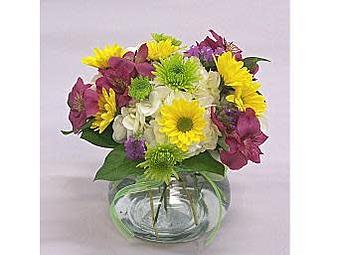 Product - Watson Flower Shops in Gilbert, AZ Florists