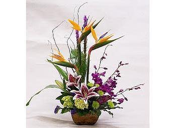 Product - Watson Flower Shops in Gilbert, AZ Florists
