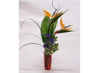 Product - Watson Flower Shops in Gilbert, AZ Florists