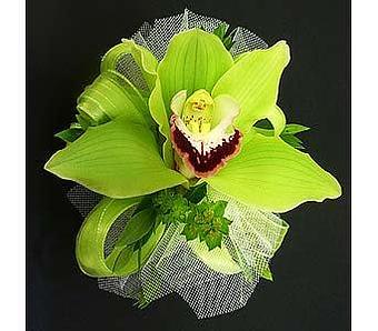 Product - Watson Flower Shops in Gilbert, AZ Florists