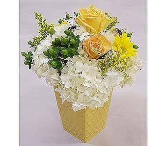 Product - Watson Flower Shops in Gilbert, AZ Florists