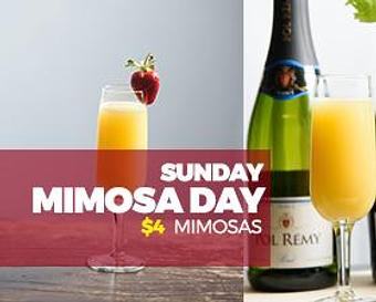 Product - Wild Ace Pizza & Pub in Greer, SC Pizza Restaurant