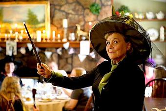 Product: Sue, our Tea Expert, dressed as Professor McGonagal at our Harry Potter themed High Tea. Check out upcoming events on our website. Wildflowerstearoom.com - Wildflowers Tea Room in Broomfield, CO Irish Restaurants