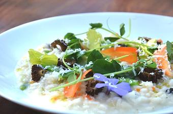 Product: Risotto
Peas, Favas, Morels
Ricotta Salata, Confit Lemon - Winsor House Inn in Snug Harbor - Duxbury, MA American Restaurants Product: Risotto
Peas, Favas, Morels
Ricotta Salata, Confit Lemon - Winsor House Inn in Snug Harbor - Duxbury, MA American Restaurants