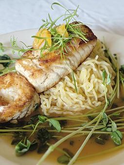 Product - Wolfe's Tavern in Downtown - Wolfeboro, NH American Restaurants