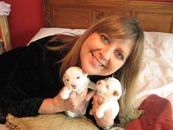 Product - Young at Heart Cotons in State College, PA Pet Care Services
