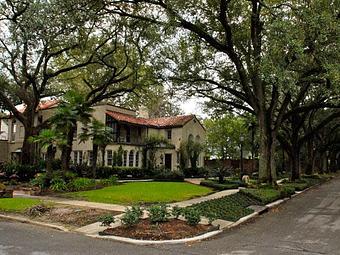 Exterior: Panoramic Harmonious Beauty - 1-Two-Tree Trimming in San Antonio, TX Ornamental Nursery Services