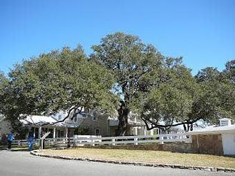 Exterior: Country Estate - 1-Two-Tree Trimming in San Antonio, TX Ornamental Nursery Services