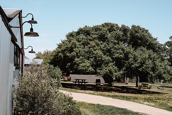 Exterior - Alice's Restaurant at Treaty Oak Distilling in Dripping Springs, TX American Restaurants