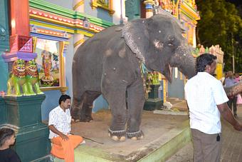 Exterior - Alpha Omega Yoga in Dallas, TX Yoga Instruction Exterior - Alpha Omega Yoga in Dallas, TX Yoga Instruction