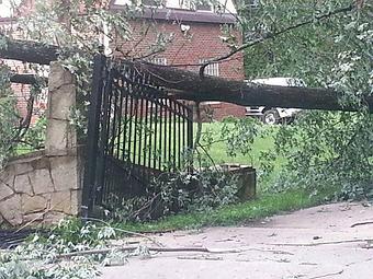 Exterior: Concord did not bend after this tree fell on it - Amazing Gates of America in Albuquerque, NM Business Services
