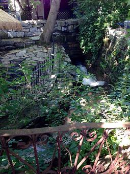 Exterior - Blue Moon Cafe in Shepherdstown, WV American Restaurants