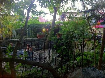 Exterior - Blue Moon Cafe in Shepherdstown, WV American Restaurants