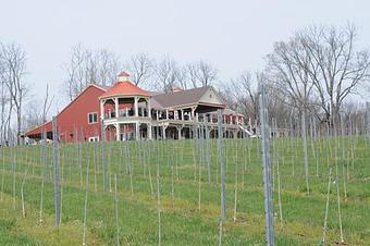 Exterior - Cana Vineyards and Winery of Middleburg in Middleburg, VA Wine Manufacturers