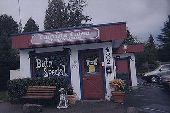 Exterior - Canine Casa in Seattle, WA Pet Boarding & Grooming