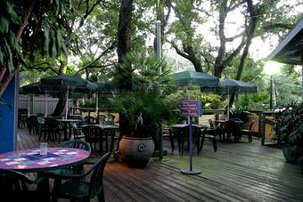 Exterior - Cappy's Restaurant in Alamo Heights - San Antonio, TX American Restaurants