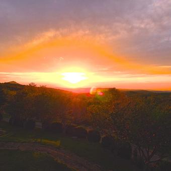 Exterior: Restaurant Sunsets are spectacular. - Chateau Morrisette Winery and Restaurant in Floyd, VA American Restaurants