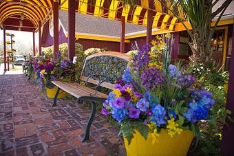 Exterior: Front Entrance - Chuck's Steak House in Restaurant Row - Myrtle Beach, SC Steak House Restaurants