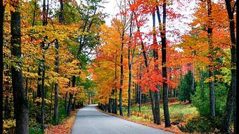 Exterior - COCO Nails & Spa in Clovis, CA Nail Salons