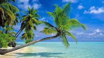 Exterior - COCO Nails & Spa in Clovis, CA Nail Salons