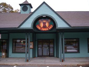 Exterior - Cool Moose Cafe in Ludlow, VT American Restaurants Exterior - Cool Moose Cafe in Ludlow, VT American Restaurants