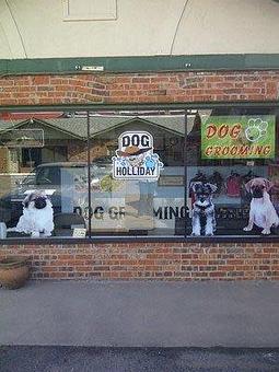 Exterior - Dog Holliday Grooming in Englewood, CO Pet Boarding & Grooming
