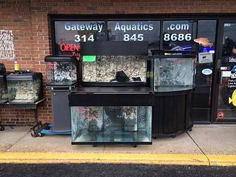 Exterior - Gateway Aquatics in Saint Louis, MO Pet Care Services