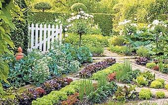 Exterior - Green Bay Nursery in Green Bay, WI Nurseries & Garden Centers