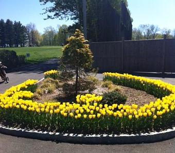 Exterior - GreenTown LLC in Greenwich, CT Business Services