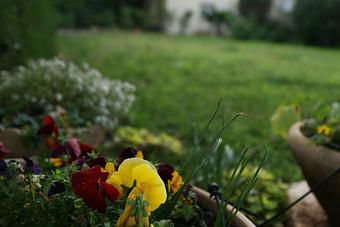 Exterior - GreenTown LLC in Greenwich, CT Business Services