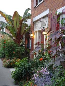 Exterior - Gringo Jack's in Main Street - downtown Manchester - Manchester Center, VT Barbecue Restaurants