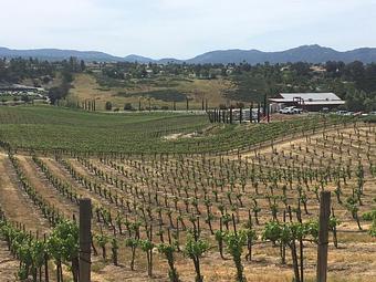 Exterior - Hart Winery in Temecula, CA Bars & Grills