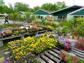 Exterior - Hewitts Garden Center: Glenmont in Glenmont, NY Nurseries & Garden Centers