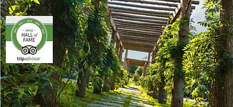 Exterior - Jedediah Hawkins in Jamesport, NY American Restaurants