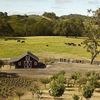 Exterior - Jordan Vineyard & Winery in Healdsburg, CA Restaurants/Food & Dining