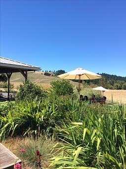 Exterior - Laurel Ridge Winery in Yamhill-Carlton AVA - Carlton, OR Restaurants/Food & Dining